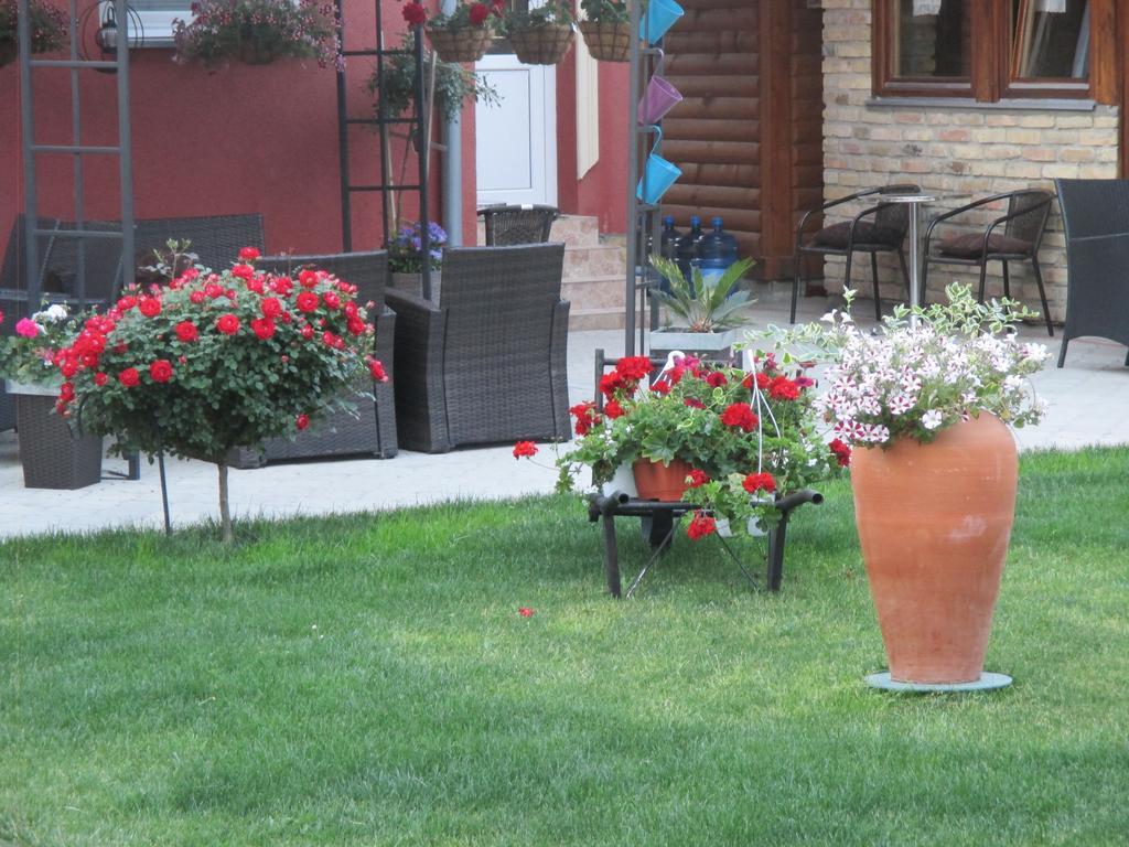 Vila Boska Palic Luaran gambar