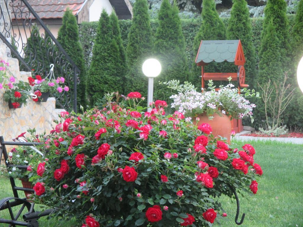 Vila Boska Palic Luaran gambar